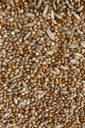 Direct Beschikbaar Boer Parkietenzaad fijn 5 kilo